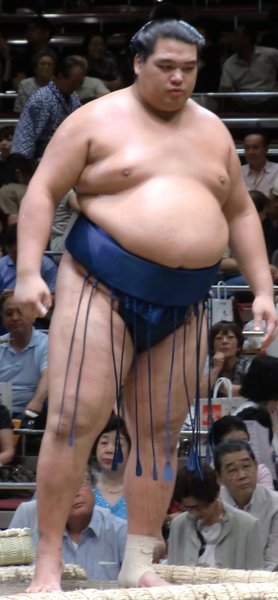 Hiroki Sumi
