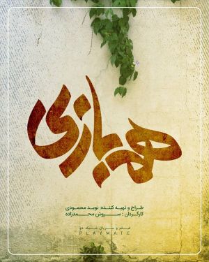 هم بازی سریال