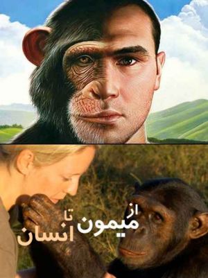 از میمون تا انسان سریال