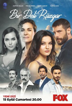یک باد تند سریال