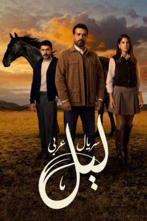 شب سریال